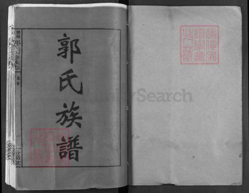 湖南省娄底市双峰县郭氏汾阳堂族谱-双峰龙返郭氏四修族志.pdf电子版预览图1