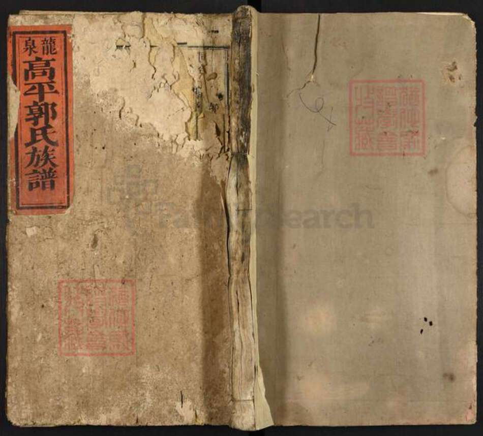 江西省吉安市泰和市塘洲镇郭氏族谱-龙泉高平郭氏族谱.pdf电子版缩略图