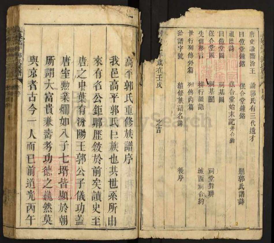 江西省吉安市泰和市塘洲镇郭氏族谱-龙泉高平郭氏族谱.pdf电子版预览图2