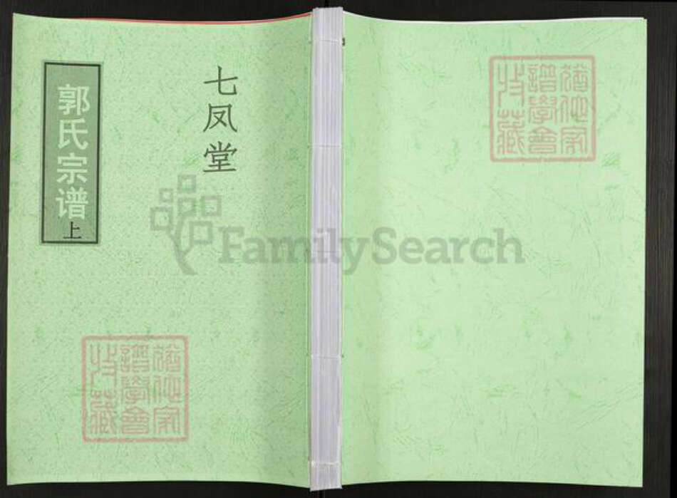 江苏省泰州市泰兴市黄桥镇郭氏七凤堂族谱-郭氏宗谱.pdf电子版缩略图