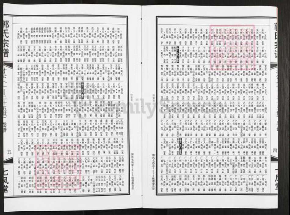 江苏省泰州市泰兴市黄桥镇郭氏七凤堂族谱-郭氏宗谱.pdf电子版预览图4
