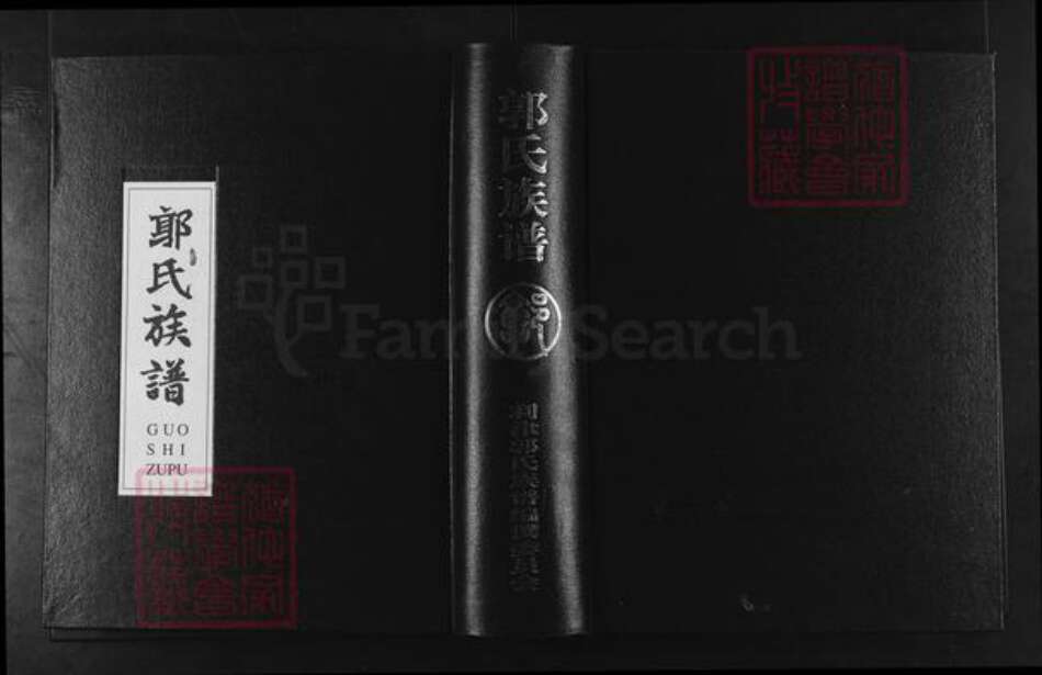 山东省东营市利津县郭氏族谱-郭氏族谱.pdf电子版缩略图