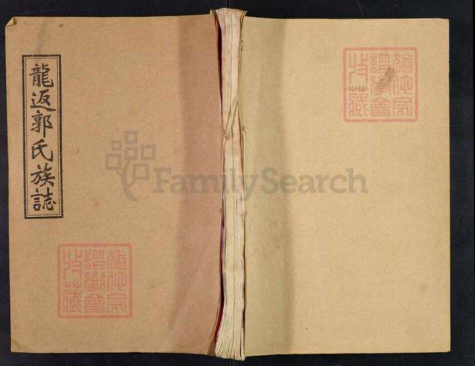 湖南省娄底市双峰县郭氏汾阳堂族谱-双峰龙返郭氏四修族志.pdf电子版缩略图