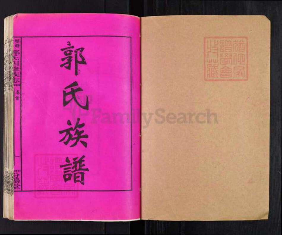 湖南省娄底市双峰县郭氏汾阳堂族谱-双峰龙返郭氏四修族志.pdf电子版预览图1