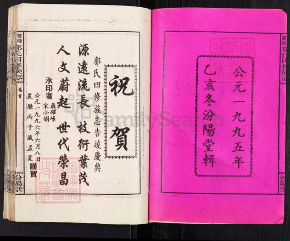 湖南省娄底市双峰县郭氏汾阳堂族谱-双峰龙返郭氏四修族志.pdf电子版预览图2