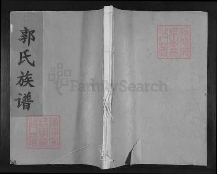 江西省吉安市吉水县江西省吉安市吉水县郭氏隆恩堂族谱-麻岗派吉水郭氏族谱.pdf电子版缩略图