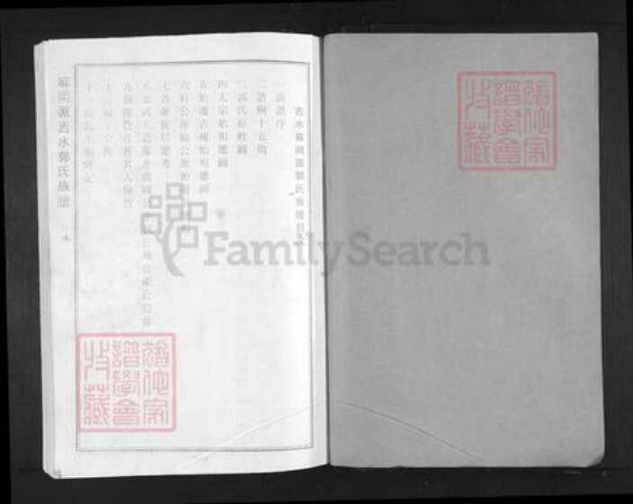 江西省吉安市吉水县江西省吉安市吉水县郭氏隆恩堂族谱-麻岗派吉水郭氏族谱.pdf电子版预览图1