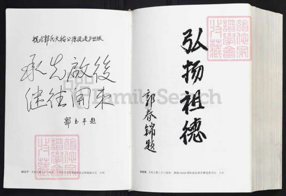 广东省梅州市大埔县郭氏族谱-郭氏天祐公源流考.pdf电子版预览图4