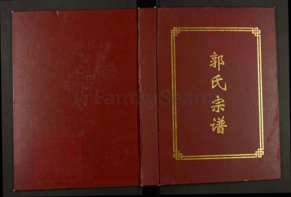 安徽省滁州市天长市郭氏井泉堂族谱-郭氏宗谱.pdf电子版缩略图