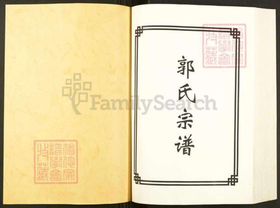 安徽省滁州市天长市郭氏井泉堂族谱-郭氏宗谱.pdf电子版预览图1