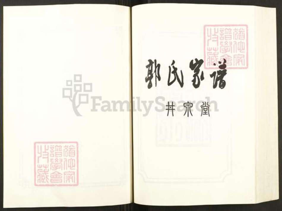 安徽省滁州市天长市郭氏井泉堂族谱-郭氏宗谱.pdf电子版预览图2