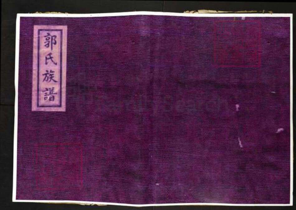 山东省泰安市肥城市汶阳镇郭氏族谱-汶邑郭氏族谱志.pdf电子版缩略图