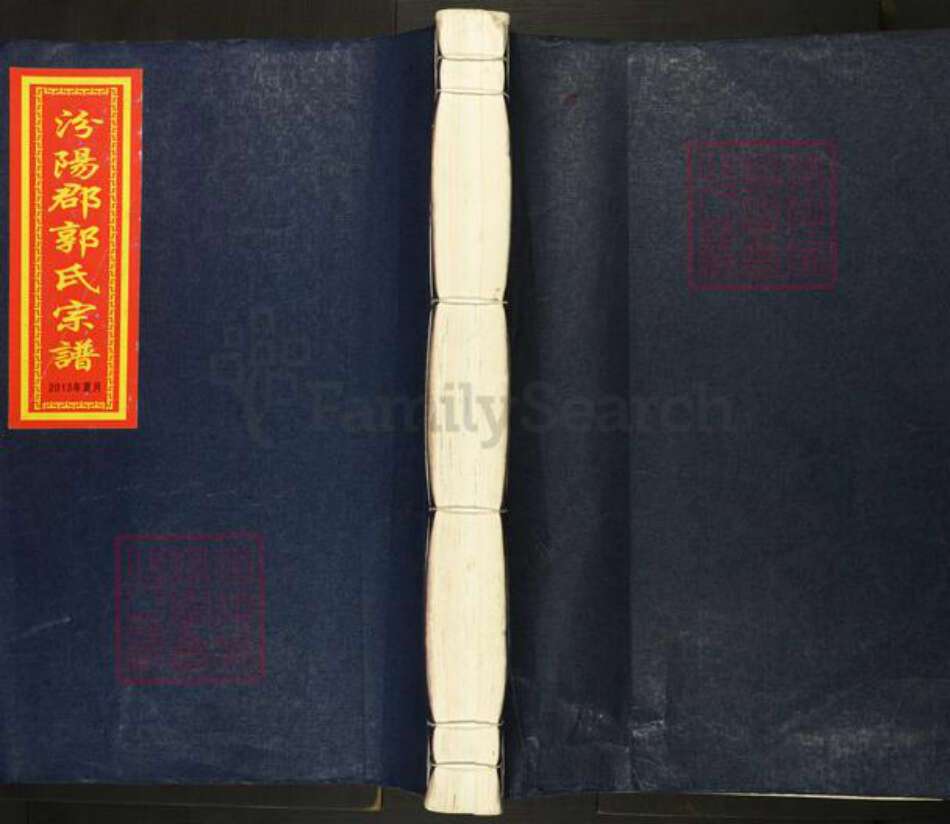 浙江省温州市苍南县龙港镇郭氏族谱-汾阳郡郭氏宗谱.pdf电子版缩略图