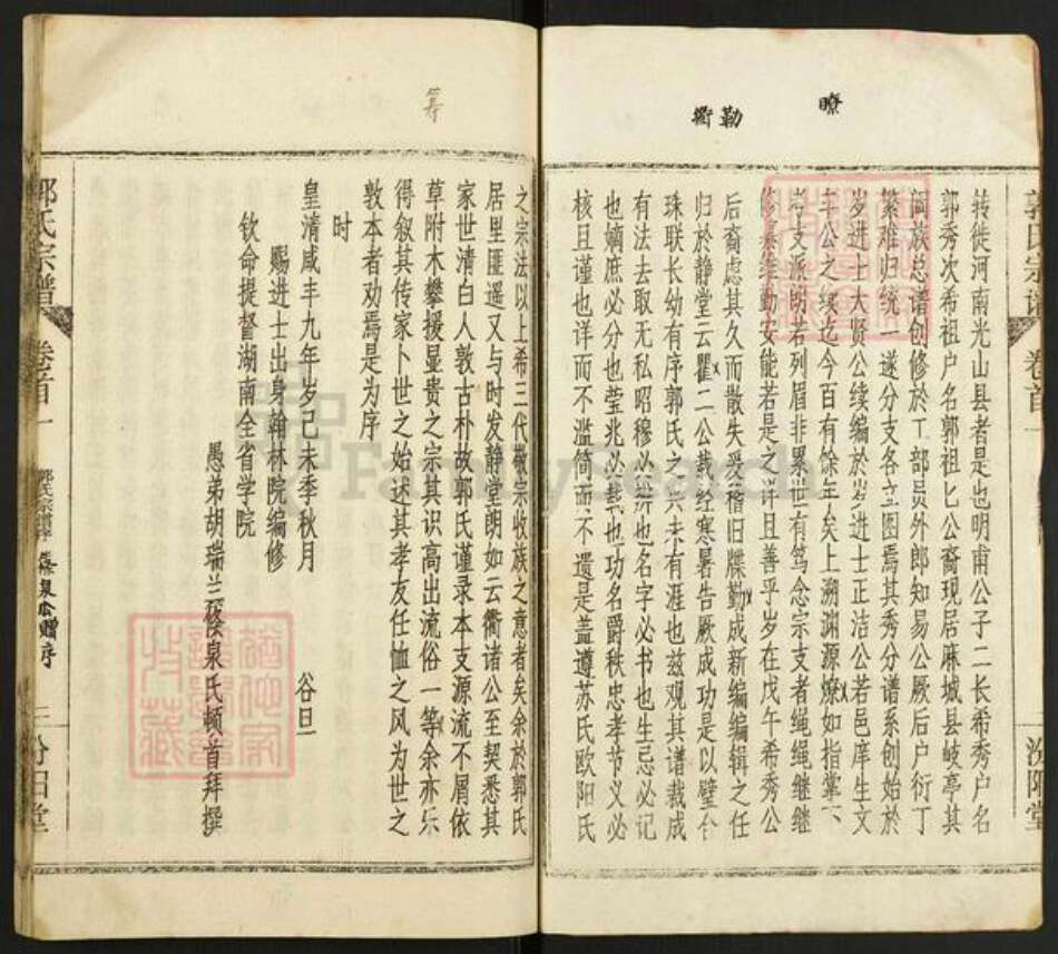 湖北省武汉市新洲区郭氏汾阳堂族谱-郭氏宗谱.pdf电子版预览图2