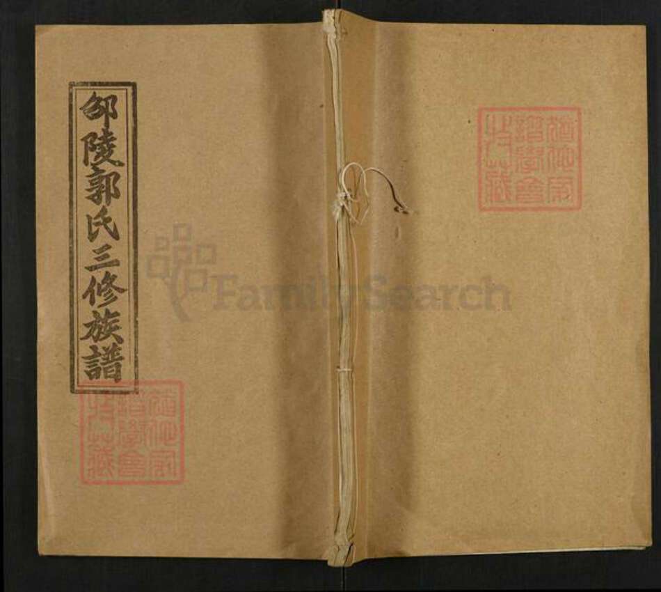 湖南省邵阳市邵东郭氏汾阳堂族谱-邵陵郭氏三修族谱.pdf电子版缩略图