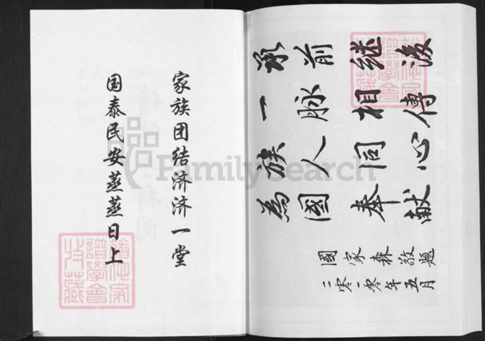 山东省淄博市博山区国氏族谱-国氏族谱.pdf电子版预览图3
