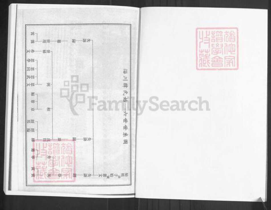 山东省淄博市周村区韩氏族谱-淄川韩氏世谱.pdf电子版预览图2