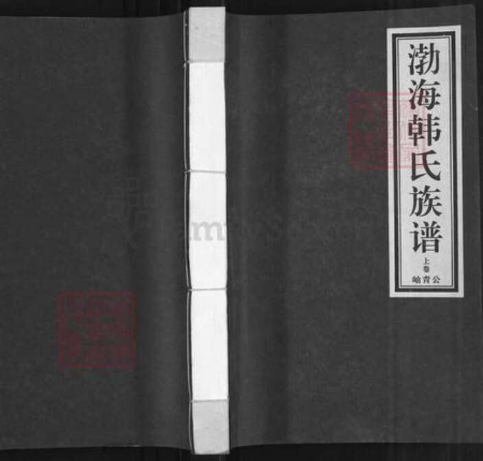 河北省沧州黄骅市吕桥镇韩氏族谱-渤海韩氏族谱.pdf电子版缩略图