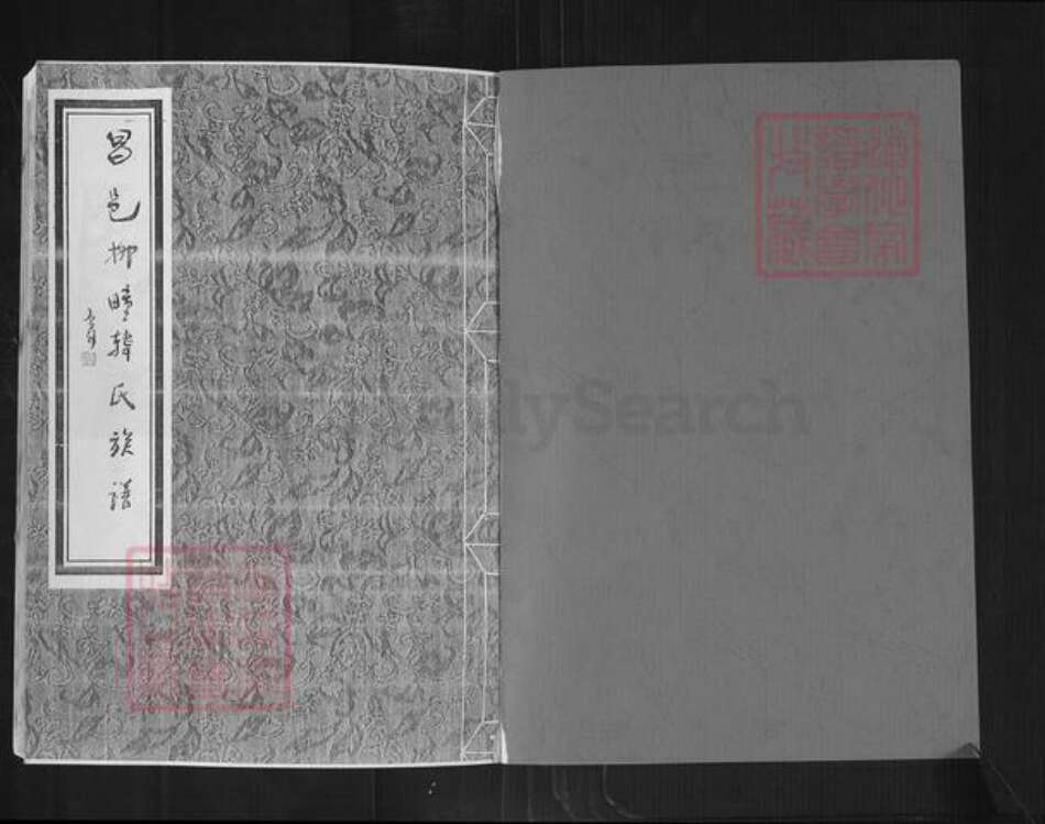 山东省潍坊市昌邑市柳疃镇韩氏深柳堂族谱-昌邑柳疃韩氏族谱.pdf电子版预览图1