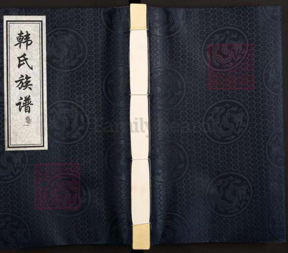 河北省沧州沧州地区吴桥韩氏族谱-韩氏族谱.pdf电子版缩略图