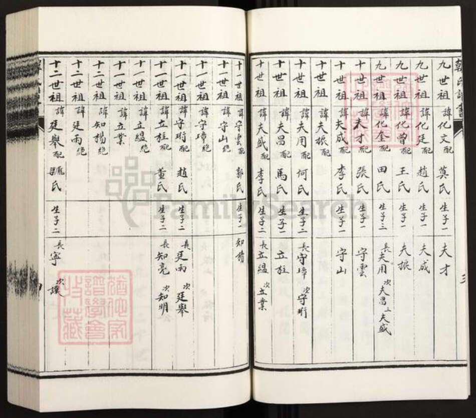 河北省沧州沧州地区吴桥韩氏族谱-韩氏族谱.pdf电子版预览图5