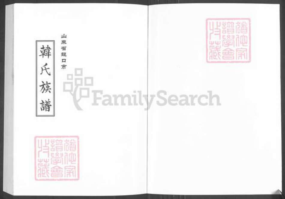 山东省烟台市龙口市芦头镇韩氏族谱-韩氏族谱.pdf电子版预览图1