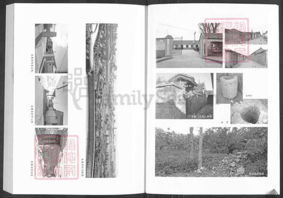 山东省烟台市龙口市芦头镇韩氏族谱-韩氏族谱.pdf电子版预览图5