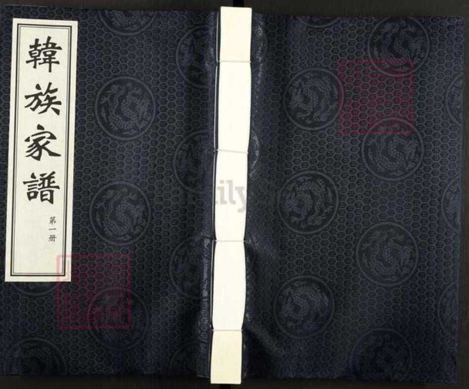 陕西省渭南市澄城县韩氏族谱-韩族家谱.pdf电子版缩略图