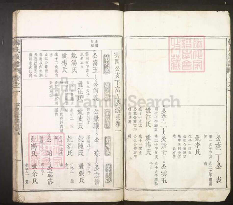 安徽省安庆市潜山市韩氏族谱-韩氏族谱.pdf电子版预览图2