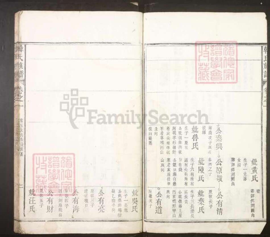 安徽省安庆市潜山市韩氏族谱-韩氏族谱.pdf电子版预览图3