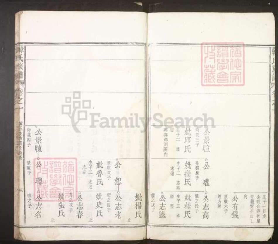 安徽省安庆市潜山市韩氏族谱-韩氏族谱.pdf电子版预览图4