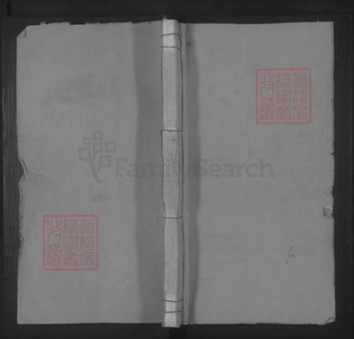 江西省景德镇市乐平市何氏族谱-柳桥何氏宗谱 [12卷].pdf电子版缩略图