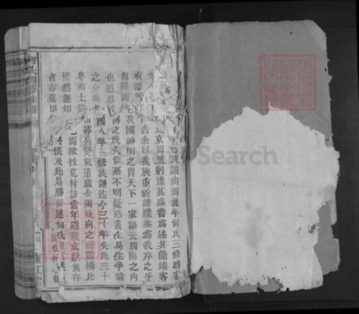 江西省赣州市兴国县何氏庐江堂族谱-何氏四修族谱.pdf电子版预览图1