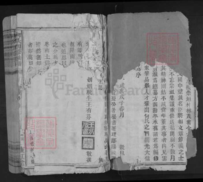 江西省赣州市兴国县何氏庐江堂族谱-何氏四修族谱.pdf电子版预览图2