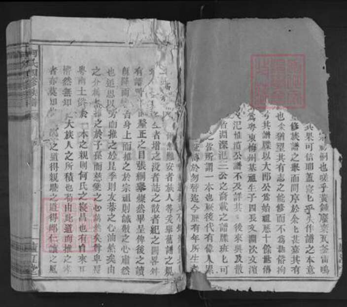 江西省赣州市兴国县何氏庐江堂族谱-何氏四修族谱.pdf电子版预览图4