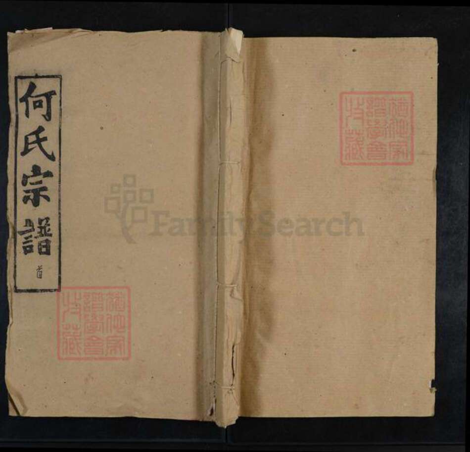 湖北省武汉市新洲区何氏吉林堂族谱-何氏宗谱.pdf电子版缩略图