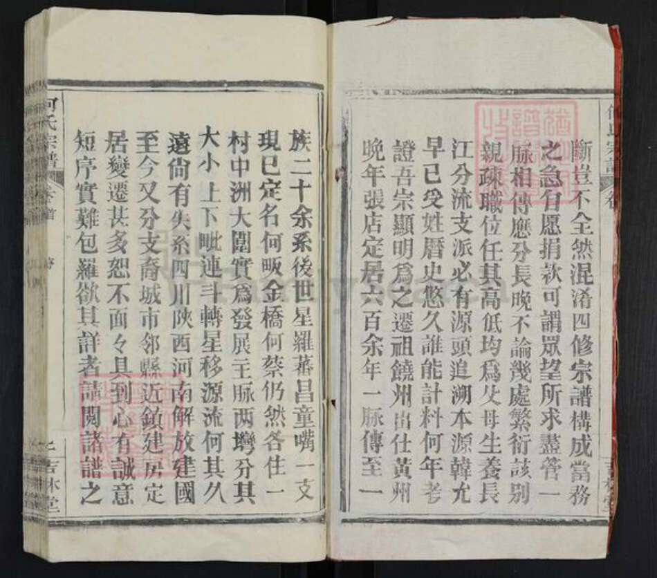 湖北省武汉市新洲区何氏吉林堂族谱-何氏宗谱.pdf电子版预览图2