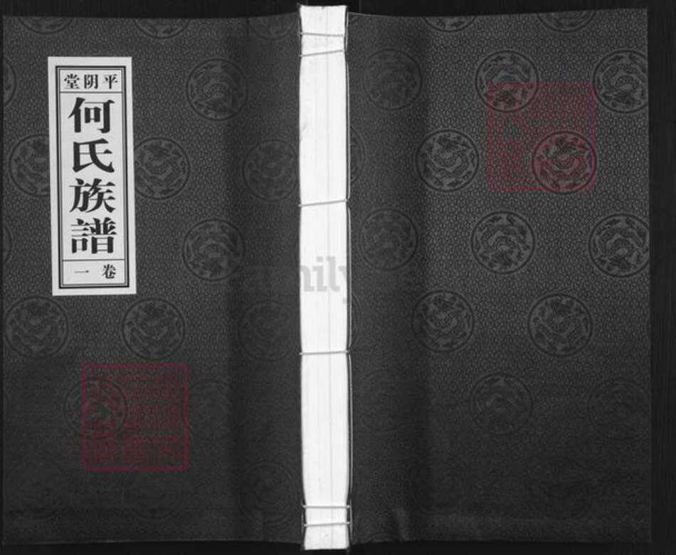 山东省济南市平阴县何氏平阴堂族谱-平阴堂.何氏族谱.pdf电子版缩略图