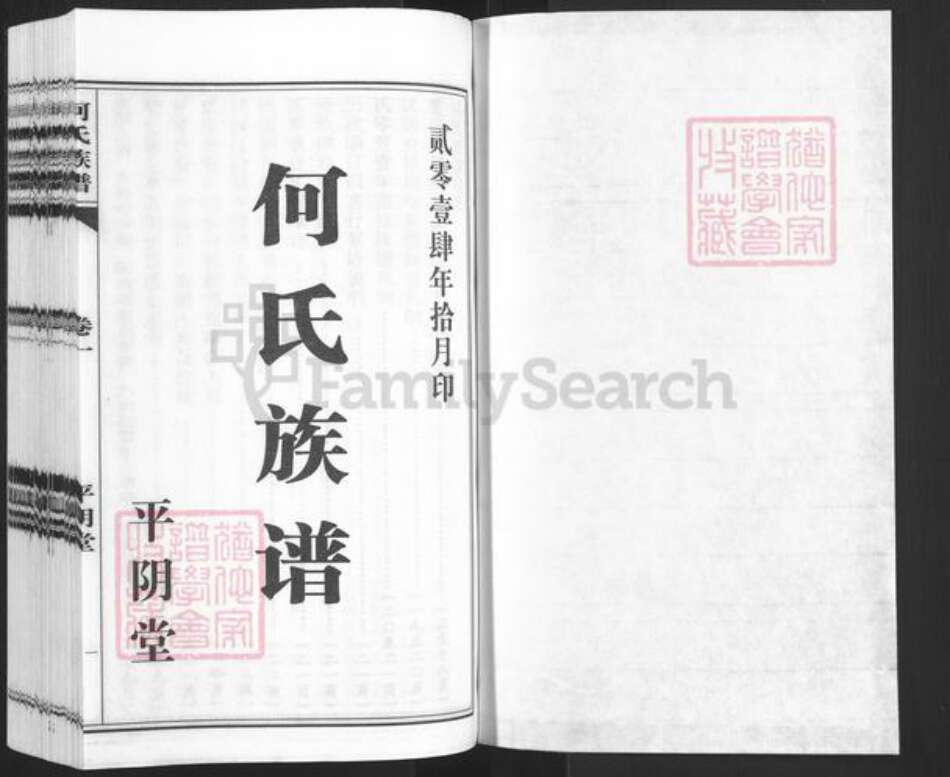 山东省济南市平阴县何氏平阴堂族谱-平阴堂.何氏族谱.pdf电子版预览图1