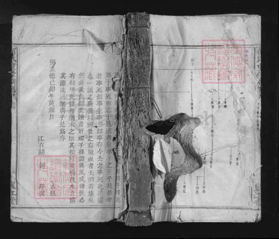 江西省何氏庐江堂族谱-何氏重修族谱.pdf电子版缩略图