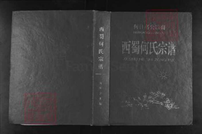 四川省遂宁市蓬溪县天福镇何氏族谱-西蜀和氏宗谱.何日高公后裔.pdf电子版缩略图
