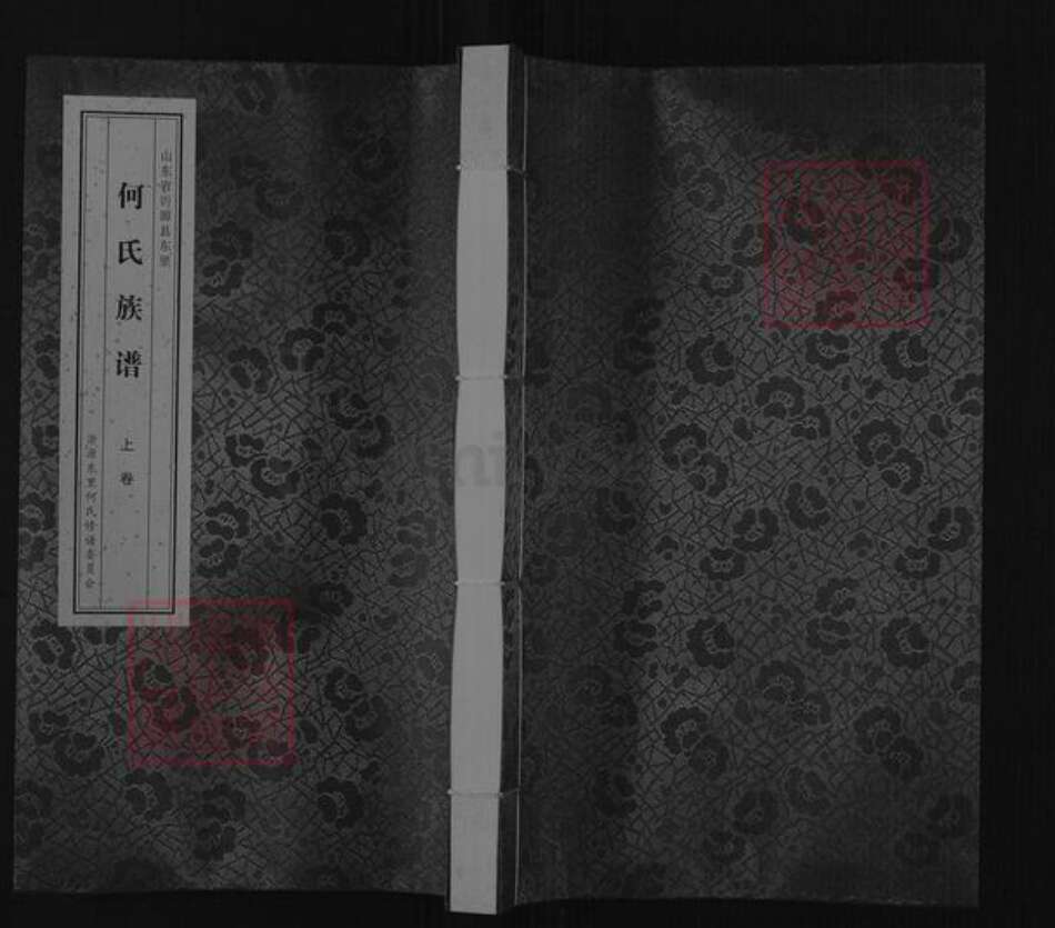 山东省淄博市沂源县东里镇何氏族谱-山东省沂源县东里何氏族谱.pdf电子版缩略图