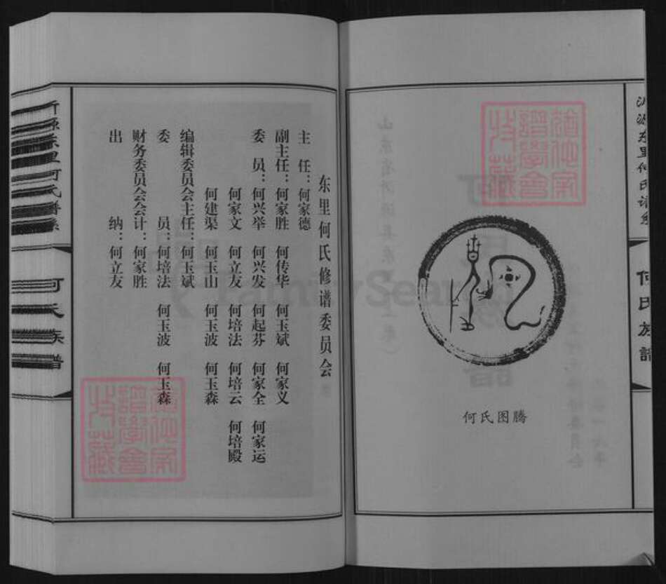 山东省淄博市沂源县东里镇何氏族谱-山东省沂源县东里何氏族谱.pdf电子版预览图2