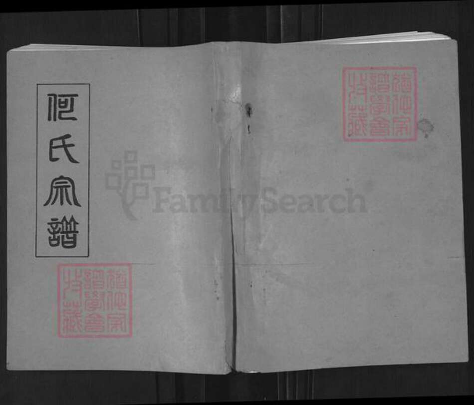 河南省郑州市上街区峡窝镇何氏族谱-何氏宗谱.pdf电子版缩略图