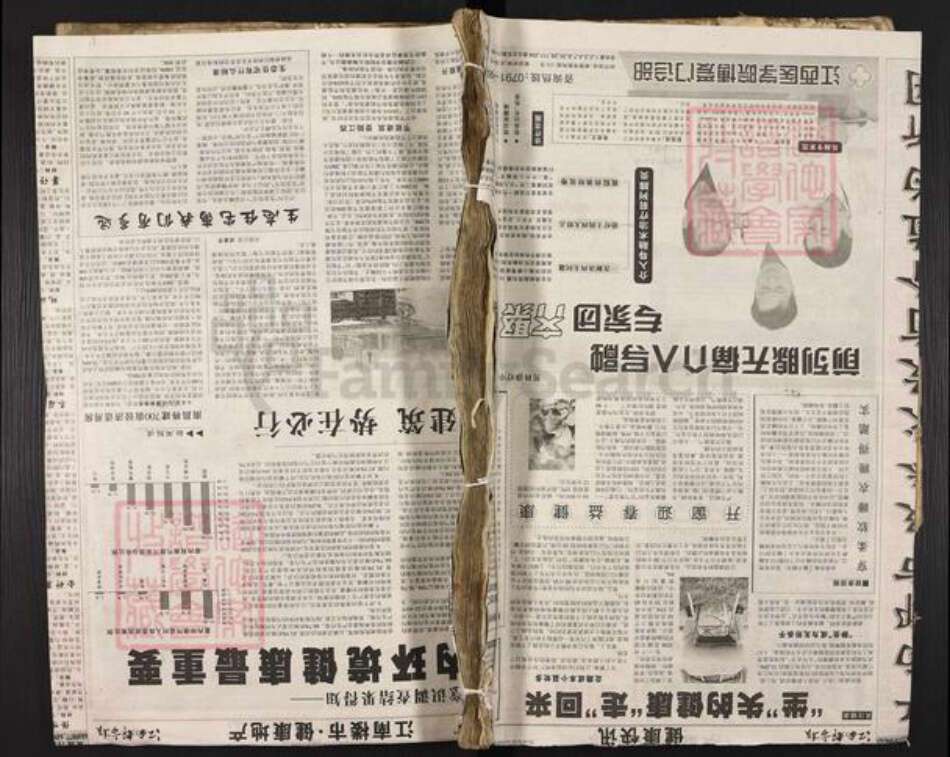江西省吉安市永丰县何氏族谱-何氏七修族谱.pdf电子版缩略图
