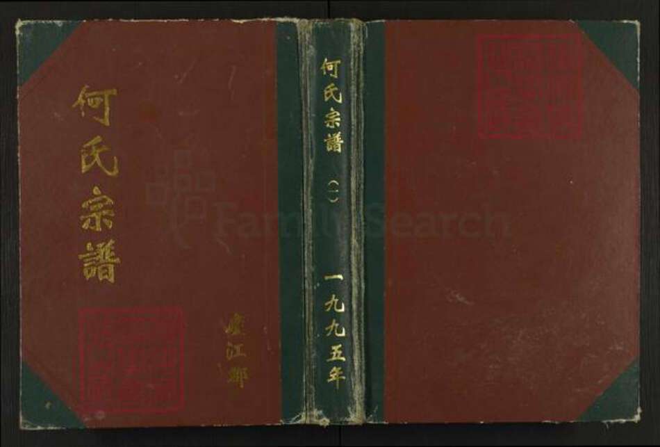 江苏省盐城市阜宁县何氏三高堂族谱-何氏宗谱.pdf电子版缩略图