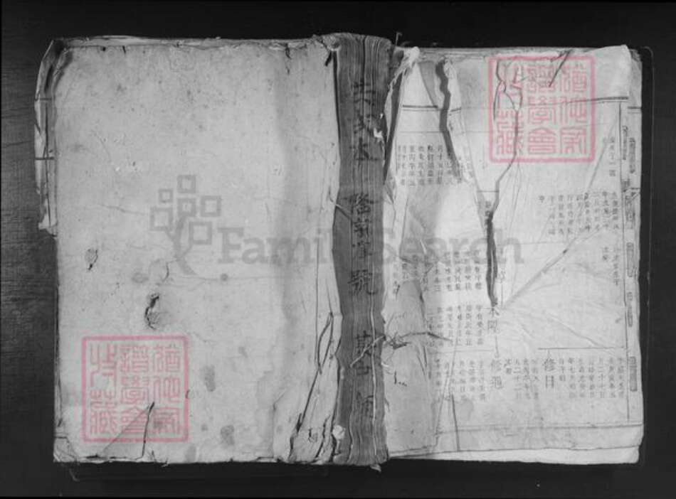 湖南省郴州市桂东县桥头乡何氏族谱-桂阳何氏族谱.pdf电子版缩略图