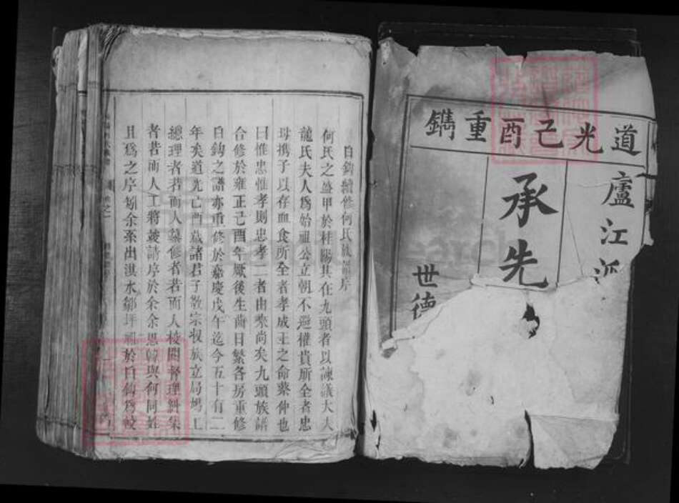 湖南省郴州市桂东县桥头乡何氏族谱-桂阳何氏族谱.pdf电子版预览图1