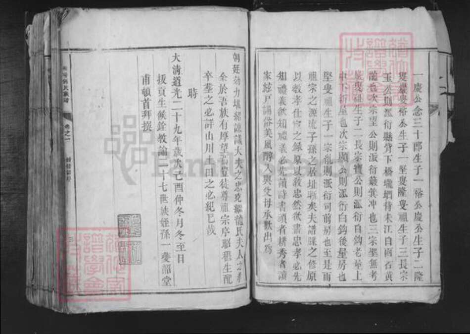 湖南省郴州市桂东县桥头乡何氏族谱-桂阳何氏族谱.pdf电子版预览图3