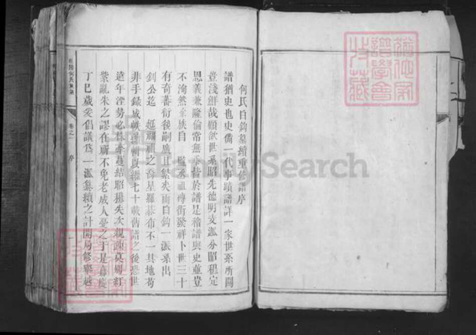 湖南省郴州市桂东县桥头乡何氏族谱-桂阳何氏族谱.pdf电子版预览图4